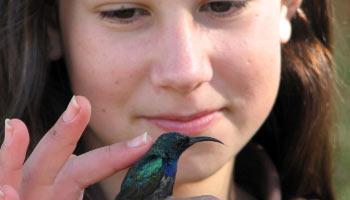 תמונה של ילדה מחזיקה ציפור