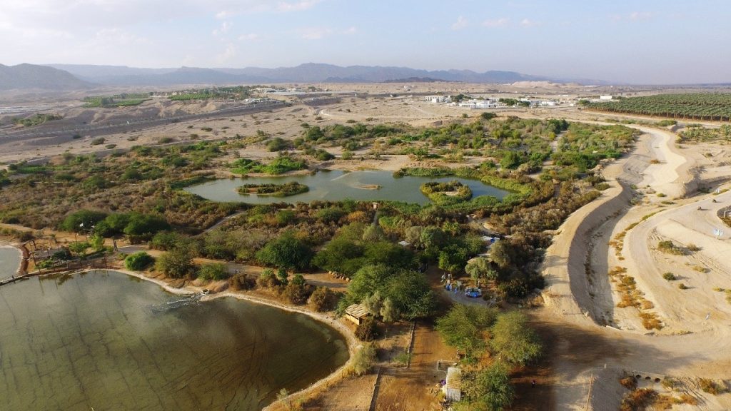 פארק הצפרות באילת – מבט ממעוף הציפור (צילום: דב גרינבלט)
