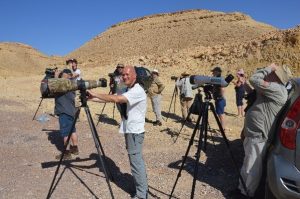 קבוצת צפרים מהולנד נהנית מצפייה בנדידת הדורסים מעל הרי אילת (צילום: יוסי לשם)