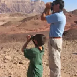 נועם